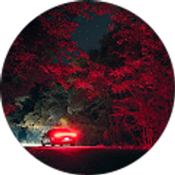 Profile photo of Kadyn Blair