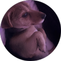 Profile photo of Yahaira B