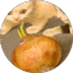 Profile photo of hole