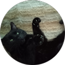 Profile photo of Amanda Ranson