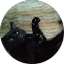 Profile photo of Amanda Ranson