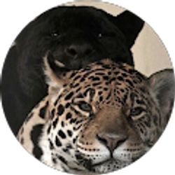 Profile photo of kelly