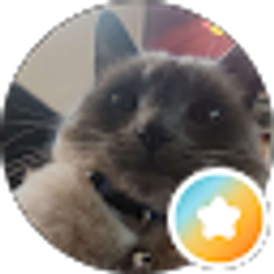 Profile photo of Tory H