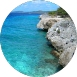 Profile photo of Allyson Coraggio