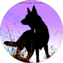 Profile photo of Karen Belcher