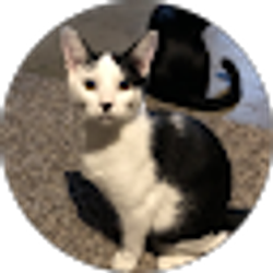 Profile photo of Adam Eva