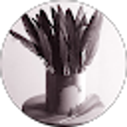 Profile photo of Latham Casting