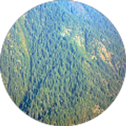 Profile photo of Ahmed wynne