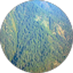 Profile photo of Ahmed wynne