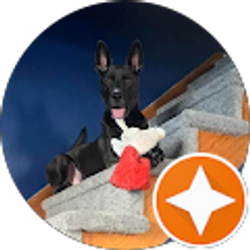 Profile photo of Kyle Colarusso