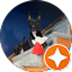 Profile photo of Kyle Colarusso