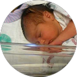 Profile photo of mohammad shaito