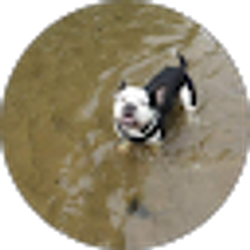 Profile photo of Ben Scott