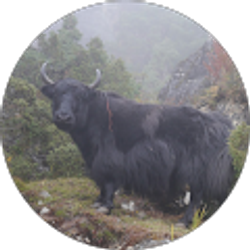 Profile photo of Alan Leavitt