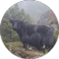 Profile photo of Alan Leavitt