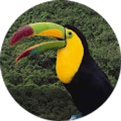 Profile photo of leaderof fruitloops