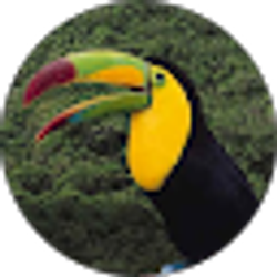 Profile photo of leaderof fruitloops