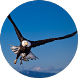 Profile photo of Billy72143