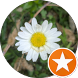 Profile photo of Waterfall Whisperer