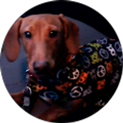 Profile photo of ERIN FULLER