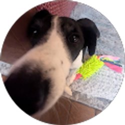 Profile photo of Mei