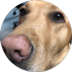 Profile photo of Martin Snyder