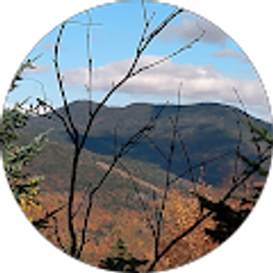 Profile photo of Meredith Kessler