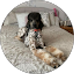 Profile photo of Cari Olsen