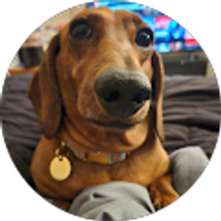 Profile photo of Guy Walls