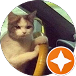 Profile photo of Carlos