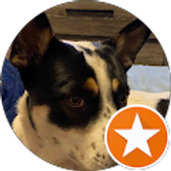 Profile photo of Richard Tolosa