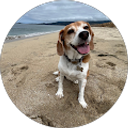 Profile photo of Marissa Davidson