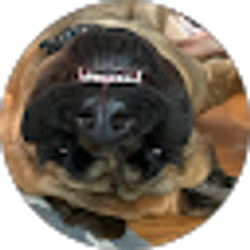 Profile photo of Frankie Doodledandy
