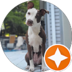 Profile photo of RYAN EDNEY