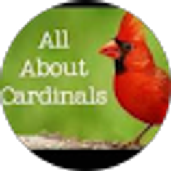 Profile photo of Sherry carr