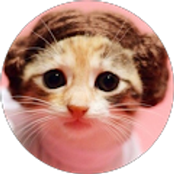 Profile photo of Katrinka Snider