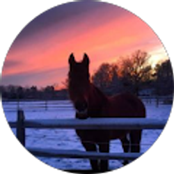 Profile photo of Marian Spencer