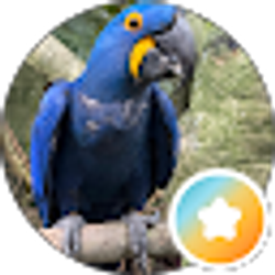 Profile photo of runman1271