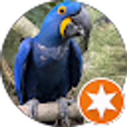 Profile photo of runman1271