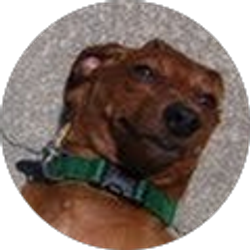 Profile photo of Brian Swift