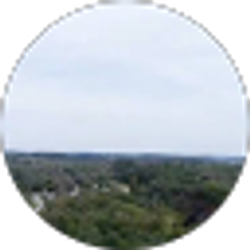 Profile photo of Joaquin Zabala