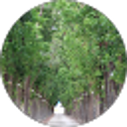 Profile photo of Lauro rb
