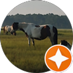 Profile photo of Jessica Davis