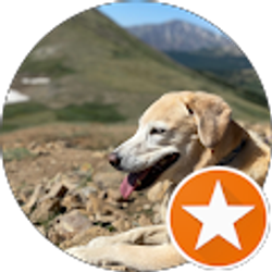 Profile photo of Stephanie Fisher