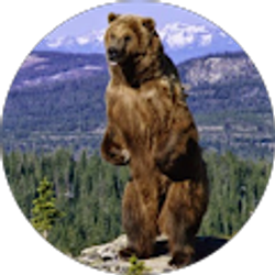 Profile photo of a b