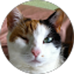 Profile photo of Deb Russell