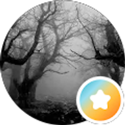Profile photo of letthewinderaseme