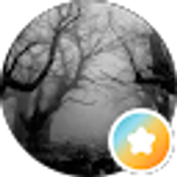 Profile photo of letthewinderaseme