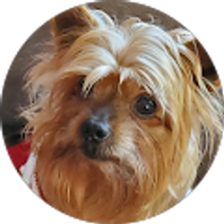 Profile photo of Cindy Valdovinos