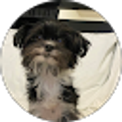 Profile photo of Valeria Quiroz